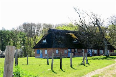 Hansi Geb                           