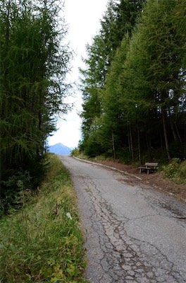 Hansi Geb                           