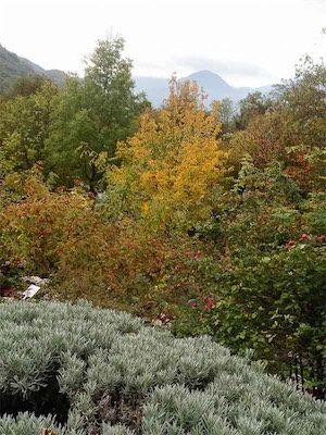 IMG_0773.jpg