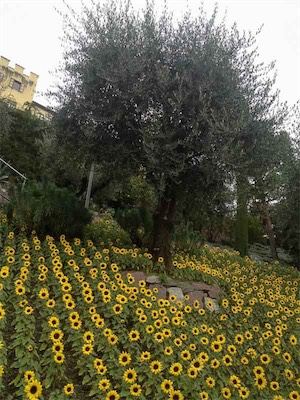 IMG_0776.jpg