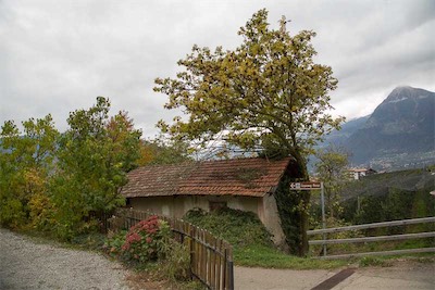 Hansi Geb