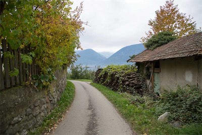 Hansi Geb
