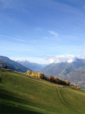 IMG_0768.jpg