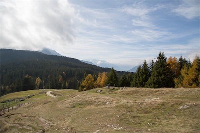 Hansi Geb