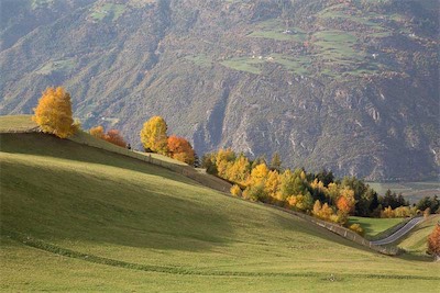 Hansi Geb