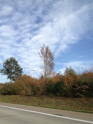 IMG_0758.jpg