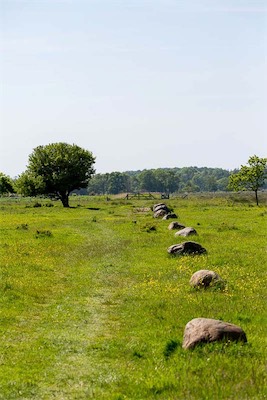 Hansi Geb
