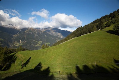 Hansi Geb