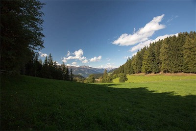 Hansi Geb