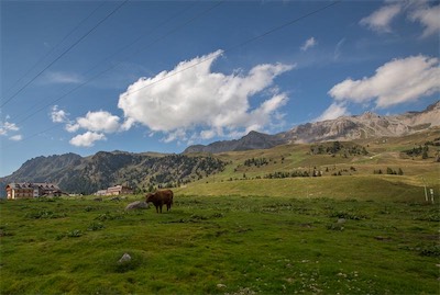 Hansi Geb