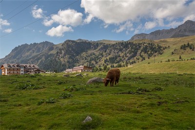 Hansi Geb