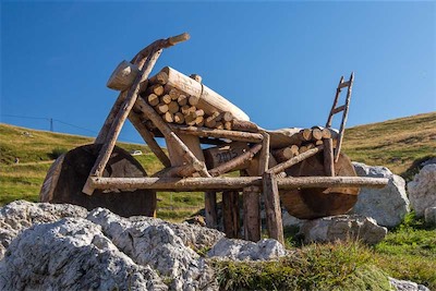 Hansi Geb