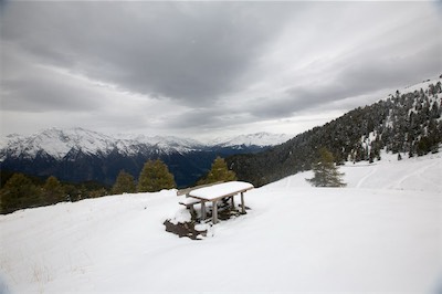 Hansi Geb