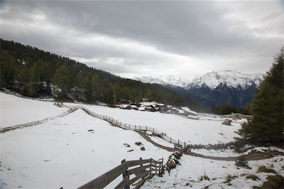 Hansi Geb