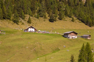 Hansi Geb