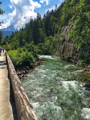 IMG_2837.jpg