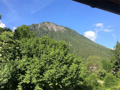 IMG_6089.jpg