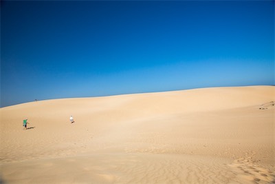 page250-1014-full.jpg