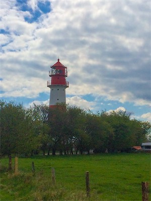 IMG_8769.jpg