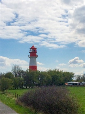 IMG_8771.jpg
