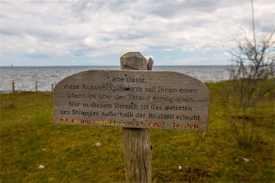 Hansi Geb