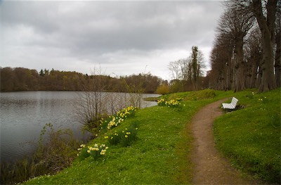 Hansi Geb