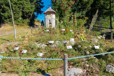 Hans-Joachim Geb