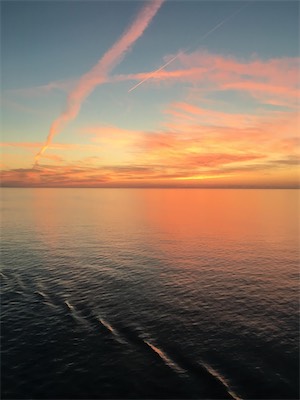 IMG_5383.jpg