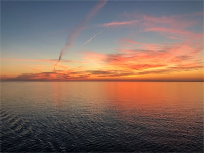 IMG_7584.jpg