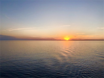 IMG_7624.jpg