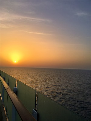 IMG_5624.jpg