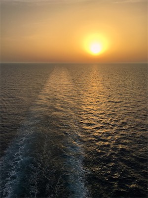 IMG_5639.jpg