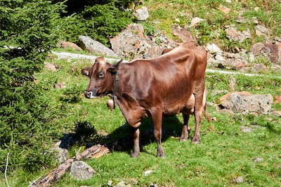 GEB04887.jpg