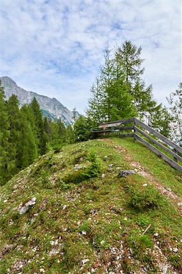 GEB05045.jpg