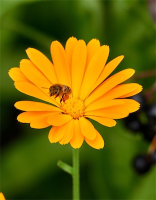 GEB05131.jpg
