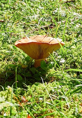 GEB05153.jpg