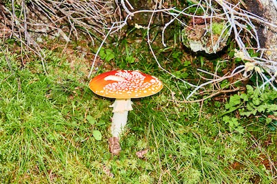 GEB05190.jpg