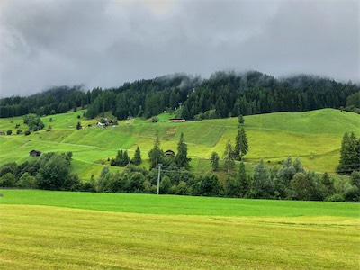 IMG_6479.jpg