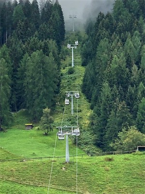 IMG_7408.jpg