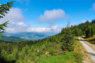 GEB05278.jpg