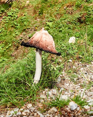 GEB05286.jpg