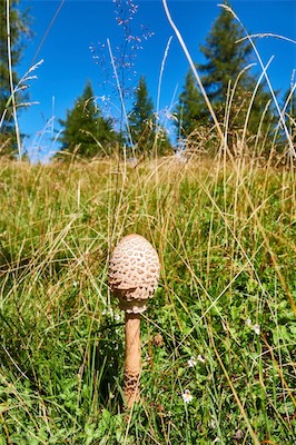 GEB05298.jpg