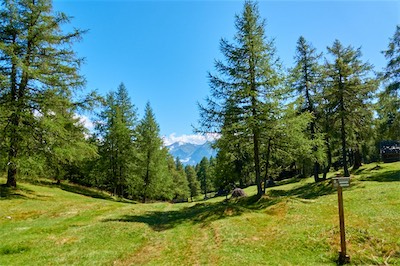 GEB05301.jpg