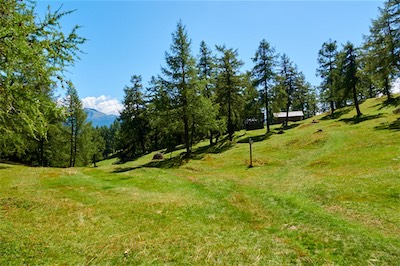 GEB05311.jpg