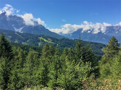 IMG_6756.jpg