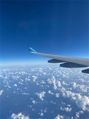 IMG_8926.jpg