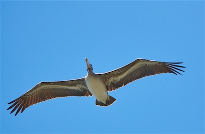 GEB06760.jpg