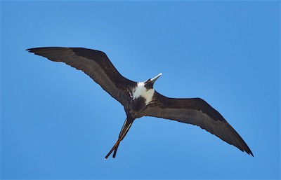 GEB06770.jpg