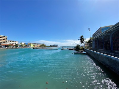 IMG_5847.jpg