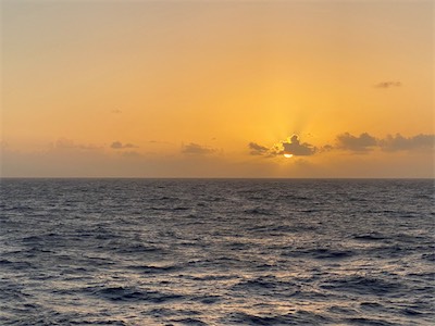 IMG_8933.jpg